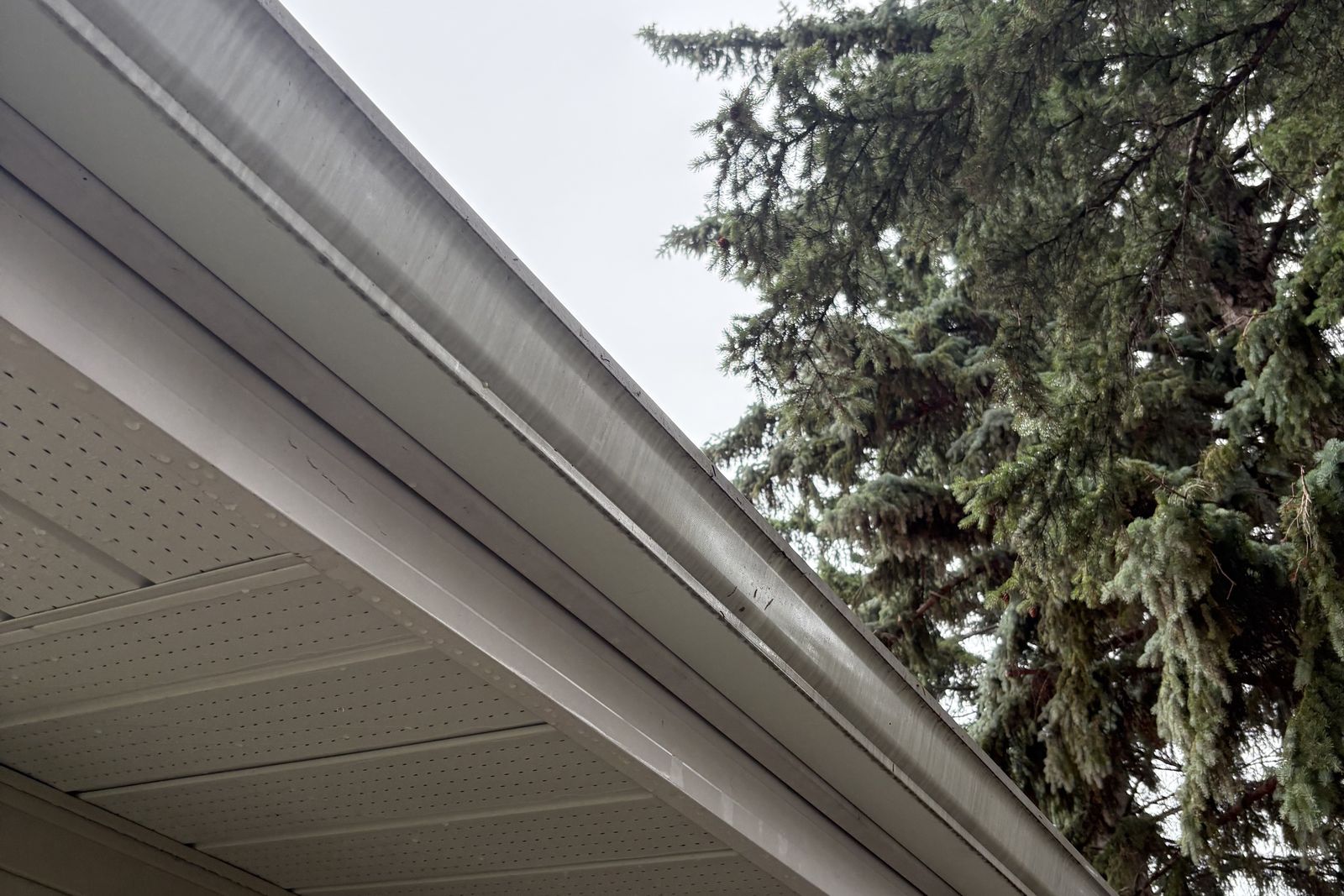 OutWest soft washing house siding, Central Alberta